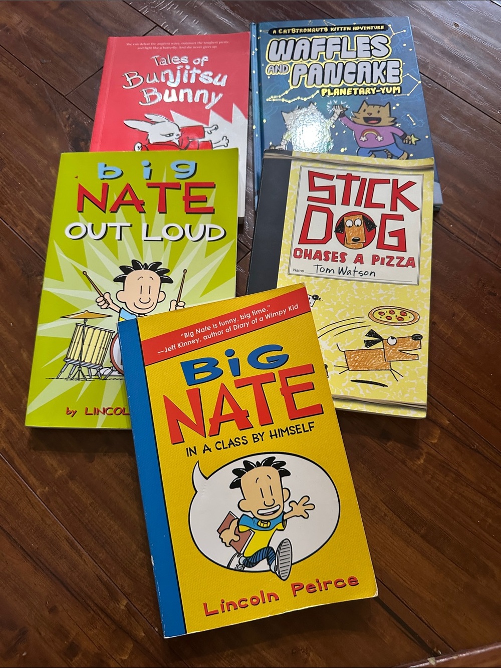 Kids Funny Illustrated 5 Book Lot Big Nate Stick Dog Waffles Bunjitsu Bunny